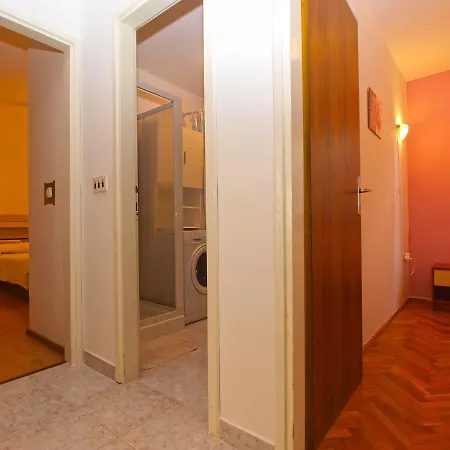 Mirjana 1556 Pola
