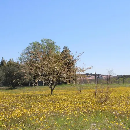 Apartament Mirjana *